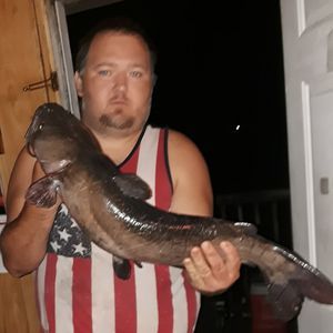 Meet your Posher, Jacky